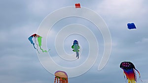 Colorful kites are flying in the cloudy sky during summer outdoor festival