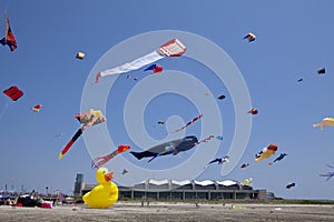 Colorful Kites