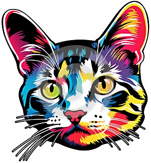 A Colorful Kitty Portrait