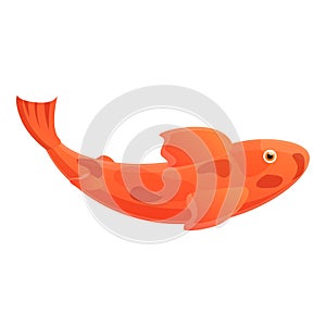 Colorful koi fish icon, cartoon style