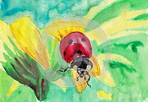 Colorful ladybird closeup portrait on yellow flower. HHand drawn watercolors on paper textures