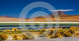 Colorful lagoon in Atacama