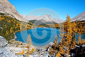 A colorful lake