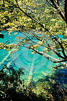 Colorful lake in Jiuzhai Valley