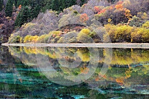 Colorful lake in Jiuzhaigou