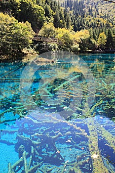 Colorful Lake in Jiuzhaigou National Park