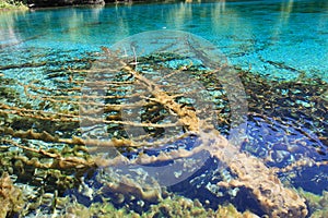 Colorful Lake in Jiuzhaigou National Park