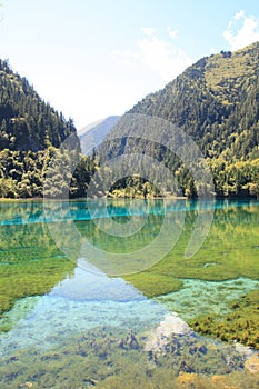 Colorful Lake in Jiuzhaigou National Park