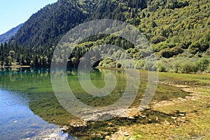 Colorful Lake in Jiuzhaigou National Park