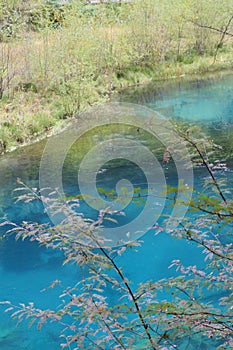 Colorful Lake in Jiuzhaigou National Park of Sichuan China