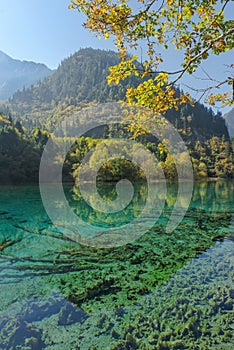 Jiuzhaigou National Park, Sichuan Province, China