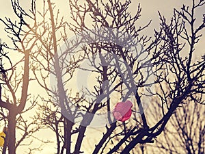 Colorful lampions in a tree