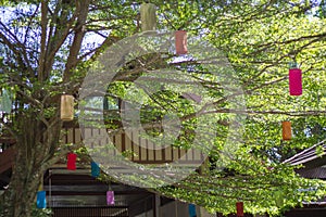 Colorful lamps outdoor underhung the tree in front of home