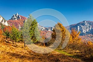 Colorful landscape in autumn.