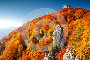 Colorful landscape in autumn