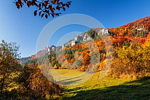 Colorful landscape in autumn.