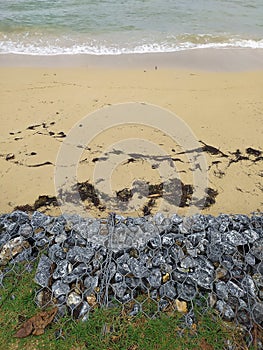 A colorful landscape of beach, rocks and grass. Un paisaje colorido de playa, rocas y cÃÂ©sped photo