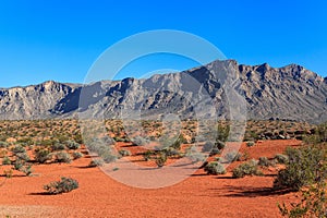 Colorful Landscape of Desert