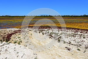 Colorful landscape of a drying lake near the sea coast.