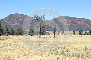 Colorful landscape in Flinders Ranges National Park, South Australia