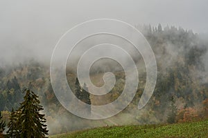 Colorful landscape in a foggy valley. Fall colors in october