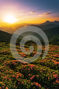 Colorful landscape in the mountains, America travel, beauty world photo