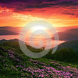 Colorful summer sunrise landscape in american mountains, America travel, USA, beauty world photo
