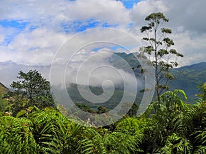 Colorful landscape of Munnar, Kerala, India