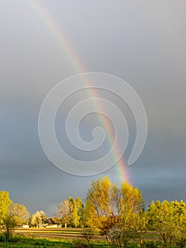 Colorful landscape with a rainbow over the trees, a small village view