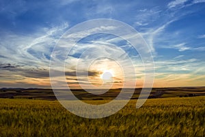 Colorful landscape of sunset in farmland. Freedom sensation