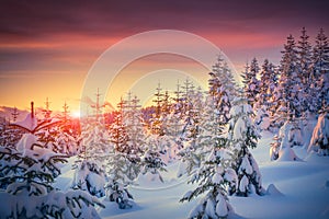 Colorato sul alba montagna foresta 