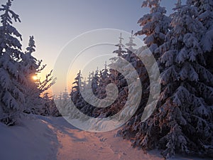 Colorful landscape at the winter sunrise in the mountain forest