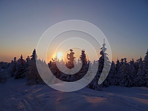 Colorful landscape at the winter sunrise in the mountain forest