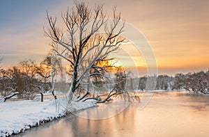 Colorful landscape at the winter sunrise in park