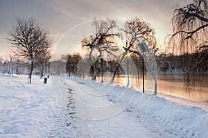 Colorful landscape at the winter sunrise in park