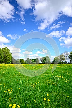 Colorful landscapes background sunny day photo