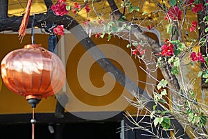 Colorful lantern in hoi an