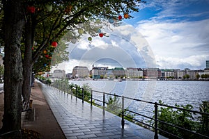 colorful lanterns hang in the trees of Hamburg