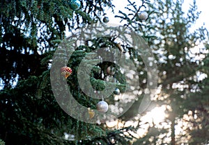 Colorful large Christmas balls hang on the tree. Colorful large Christmas balls hang on the tree