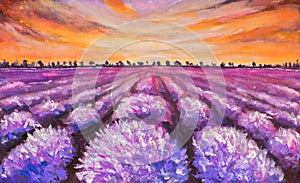 Colorful lavender field at sunset painting