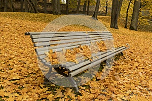 Colorful leafage with grundge bench in the park