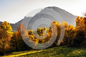 Colorful leaves in autumn country