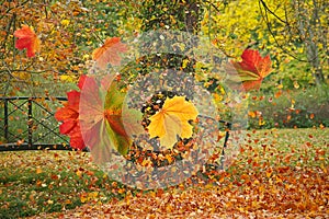 Barvitý listy na podzim 