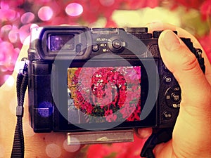 Colorful leaves on background of vintage style camera