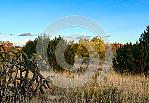 Sunset in Galisteo New Mexico photo