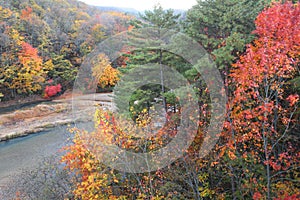 Colorful leaves in Gully Matsukawa