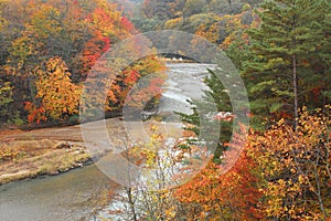 Colorful leaves in Gully Matsukawa