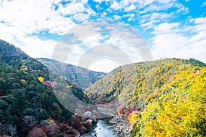 Colorful leaves mountains and Katsura river in Arashiyama, landscape landmark and popular for tourists attractions in Kyoto, Japan