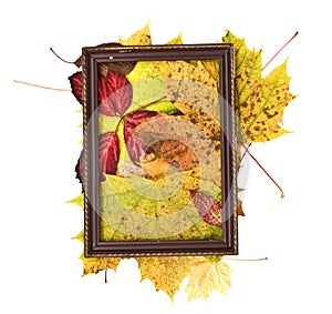 Colorful leaves in rusty frame on white background