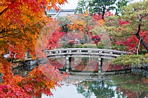 Colorful leaves and scenery Stone bridge and pond background in Eikando temple, beautiful nature garden in Autumn foliage season,